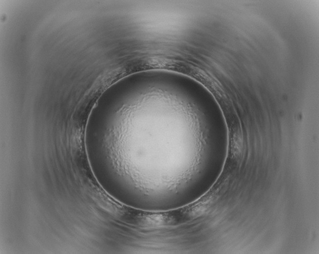 X0000090460473200707131258