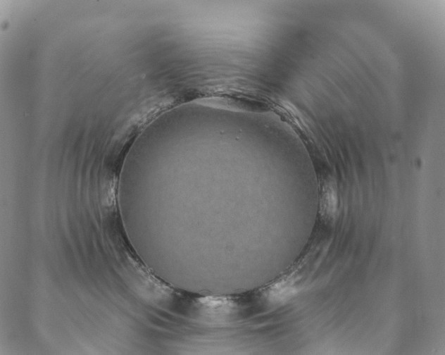 X0000090460477200707131258