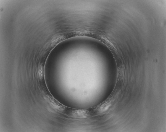X0000090460479200707131258