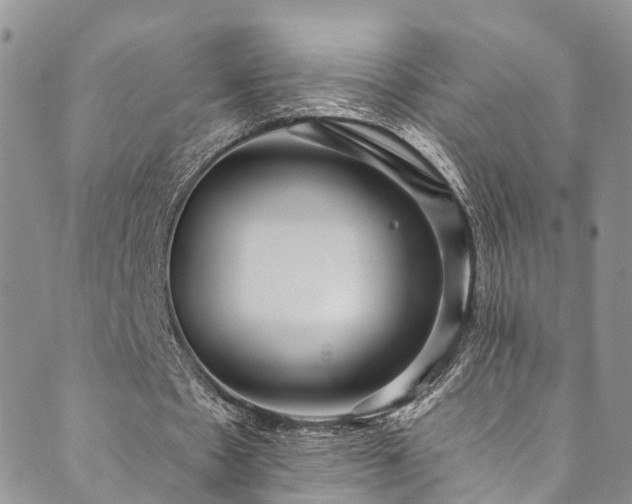 X0000090460481200707131257