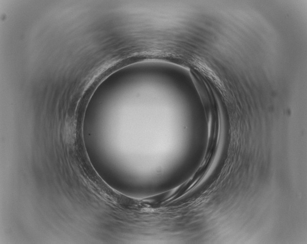 X0000090460484200707131257