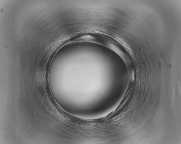 X0000090460485200707131257