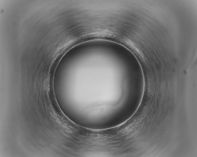 X0000090460486200707131257