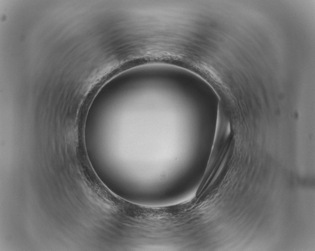 X0000090460488200707131257