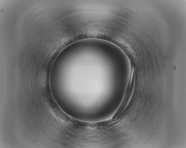 X0000090460496200707131257