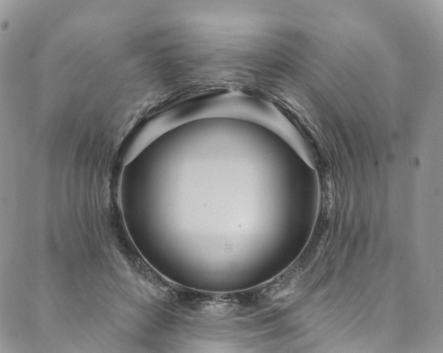 X0000090460504200707131257
