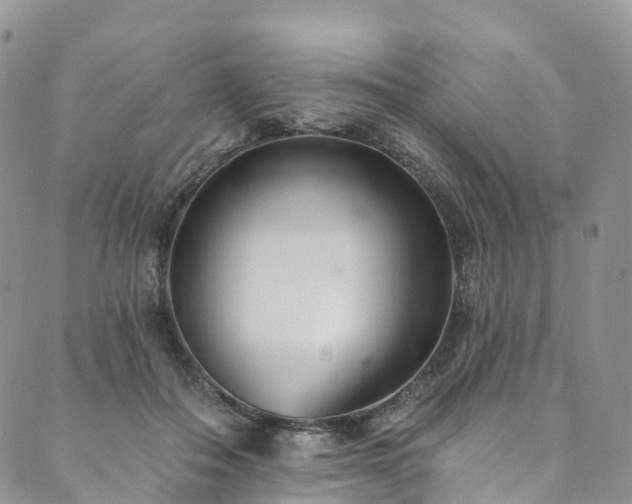 X0000090460506200707131257