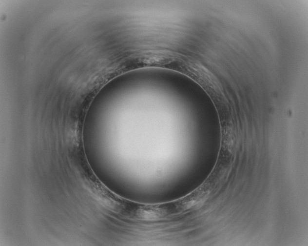 X0000090460510200707131257
