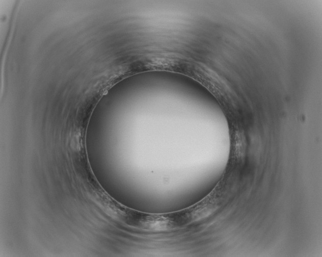 X0000090460514200707131257