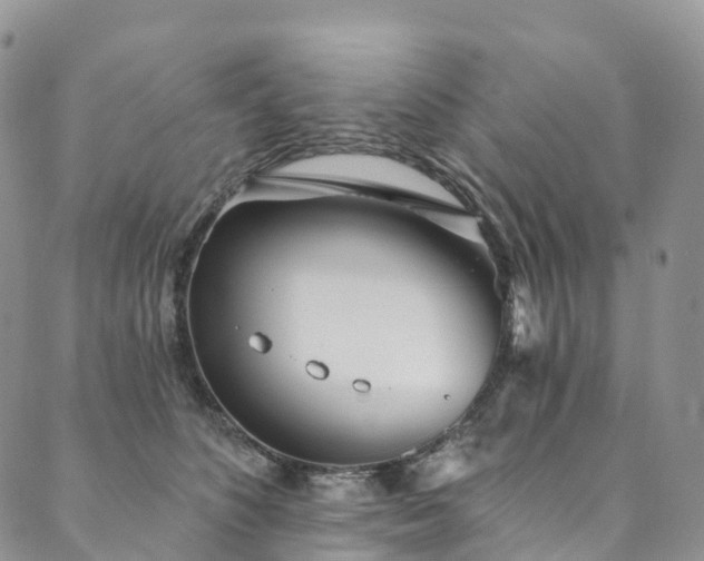 X0000090460516200707131257