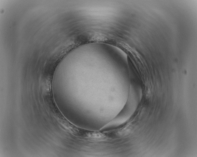 X0000090460517200707131256