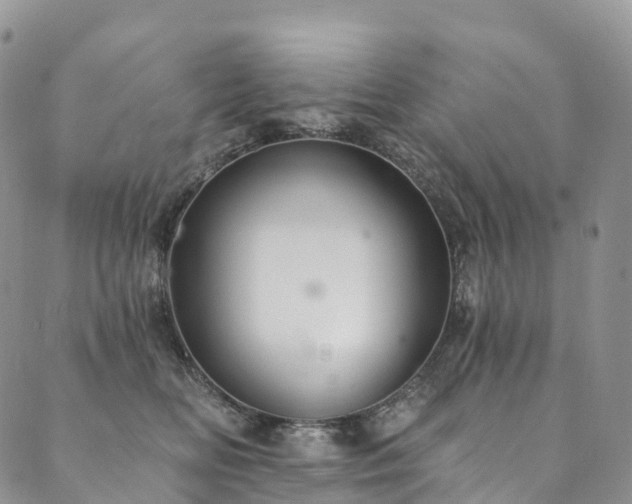 X0000090460518200707131256