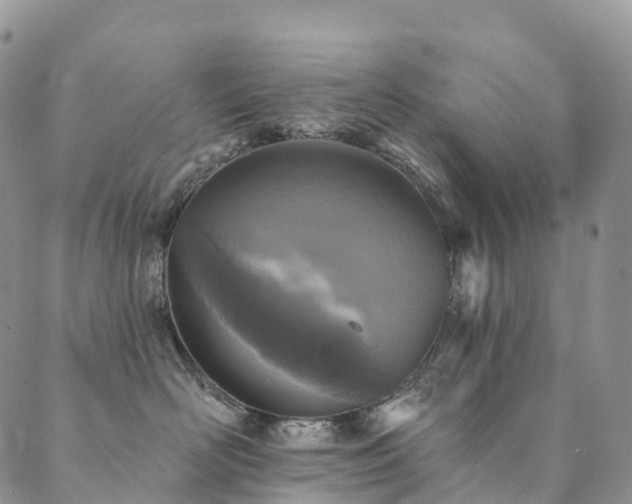 X0000090460526200707131256