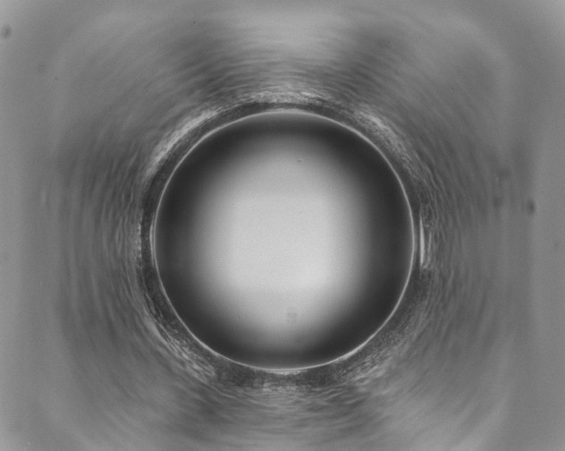 X0000090460531200707131256