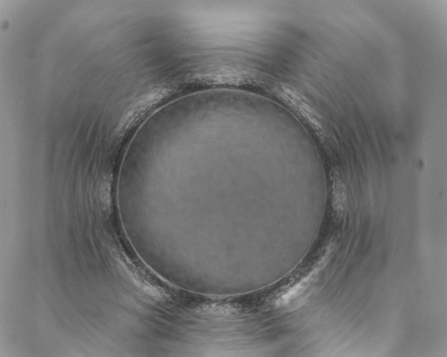 X0000090460537200707131256