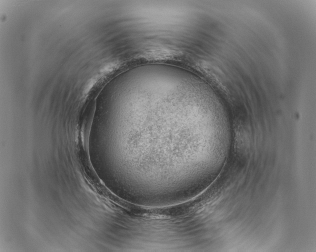 X0000090460539200707131256