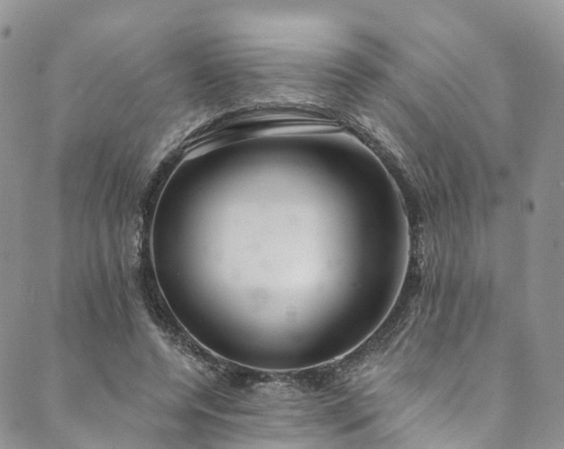 X0000090460544200707131256