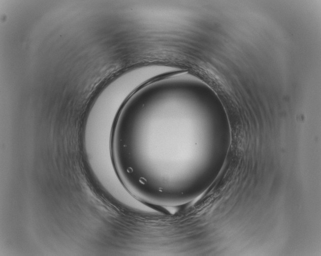 X0000090460546200707131256