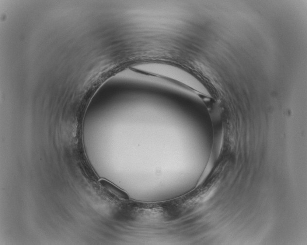 X0000090460548200707131256