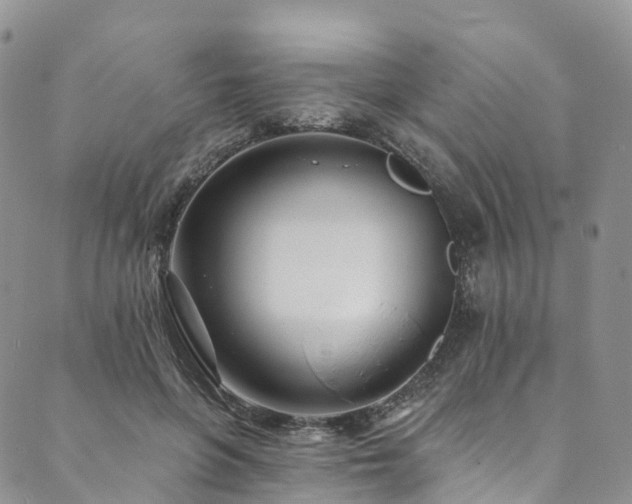 X0000090460551200707131256