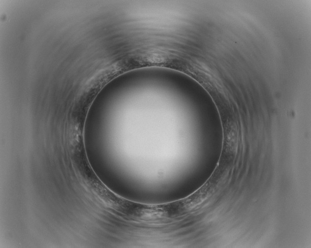 X0000090460555200707131256