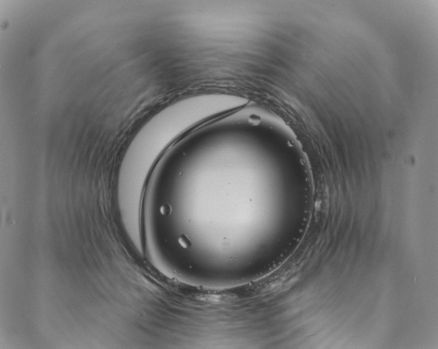 X0000090460558200707131256