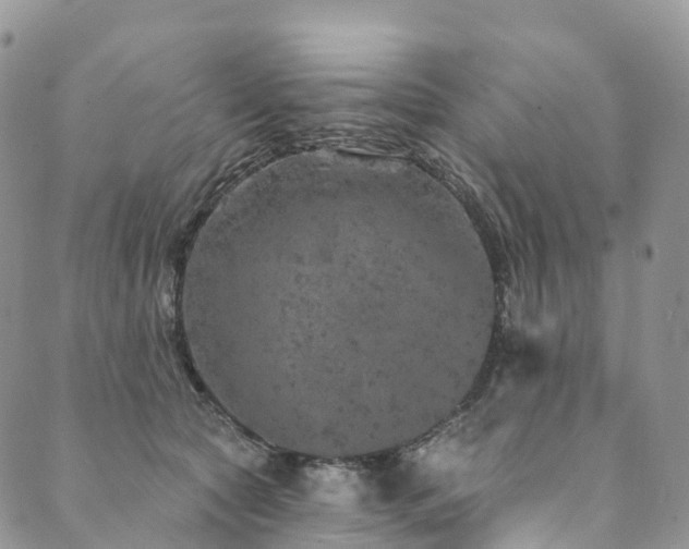 X0000090460561200707131256