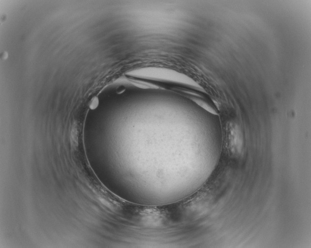 X0000090460562200707131256