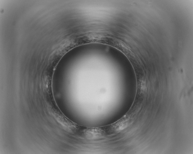 X0000090460567200707131256