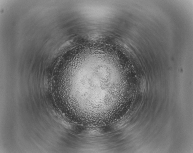 X0000090460569200707131256