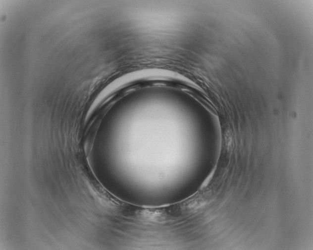 X0000090460570200707131256