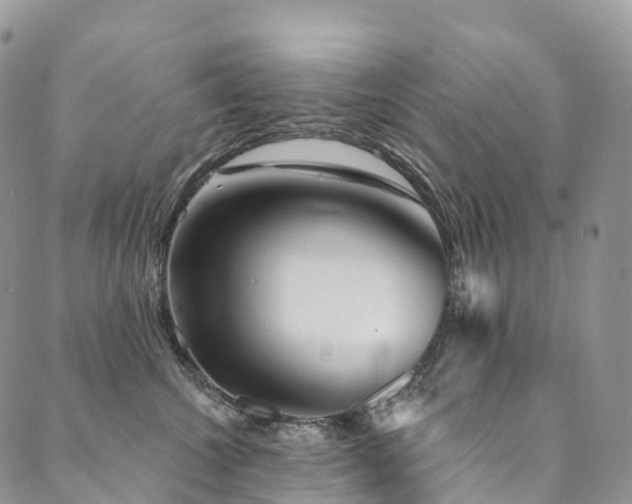 X0000090460572200707131256