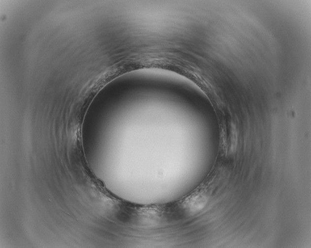 X0000090460574200707131256