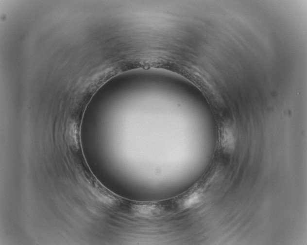 X0000090460575200707131256