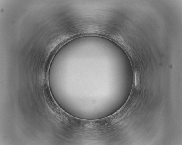 X0000090460579200707131255