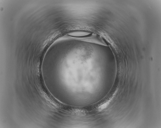 X0000090460585200707131255
