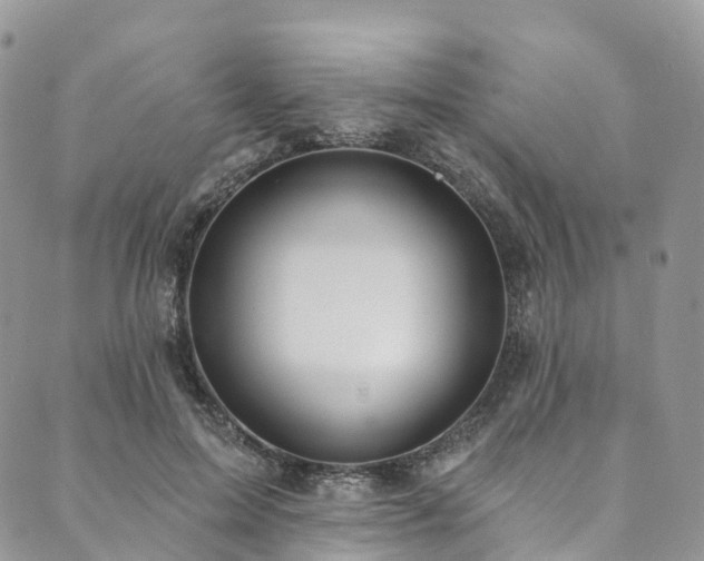 X0000090460599200707131255
