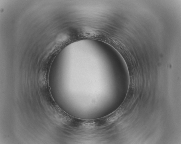 X0000090460606200707131255
