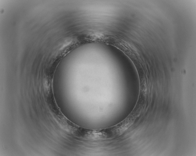 X0000090460607200707131255