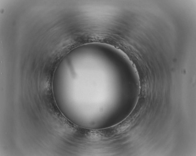 X0000090460608200707131255