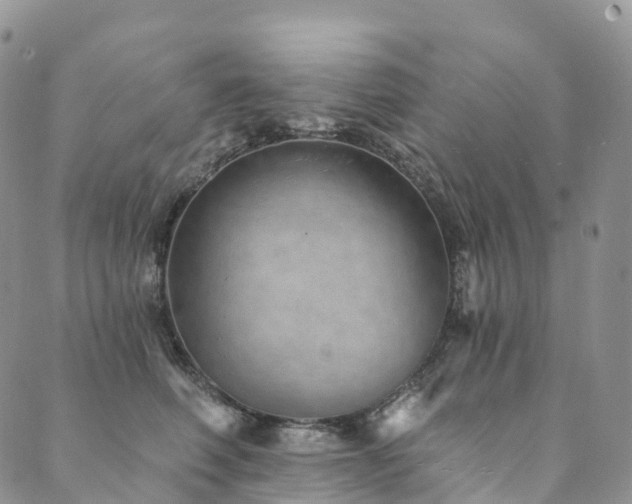 X0000090460614200707131255