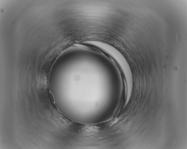 X0000090460617200707131255
