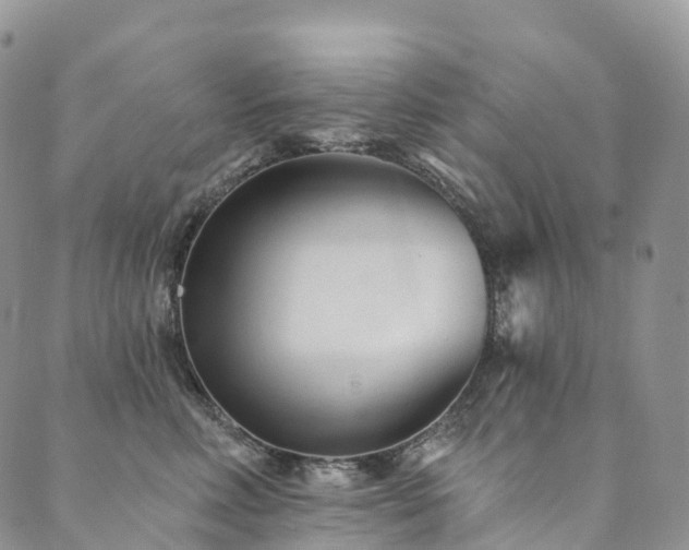 X0000090460618200707131255