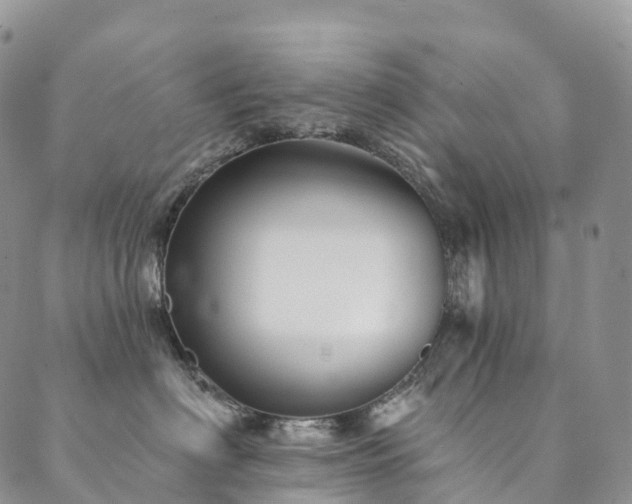 X0000090460622200707131255