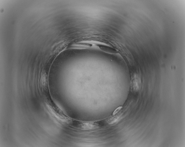 X0000090460623200707131255