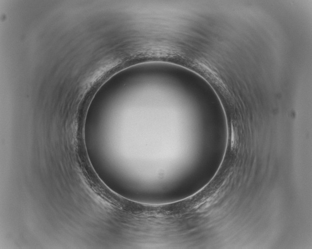X0000090460627200707131254