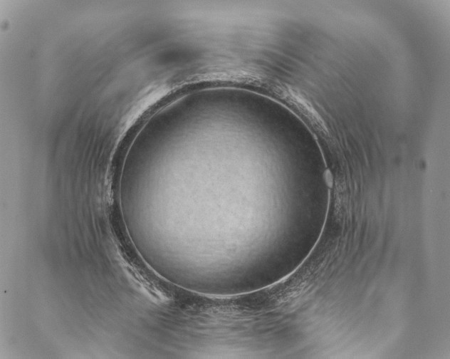 X0000090460628200707131254