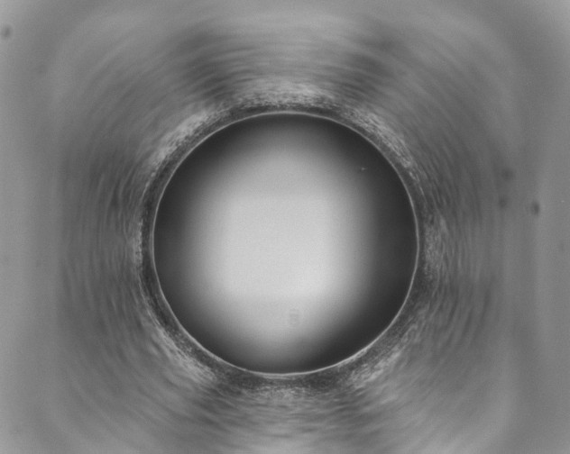 X0000090460629200707131254