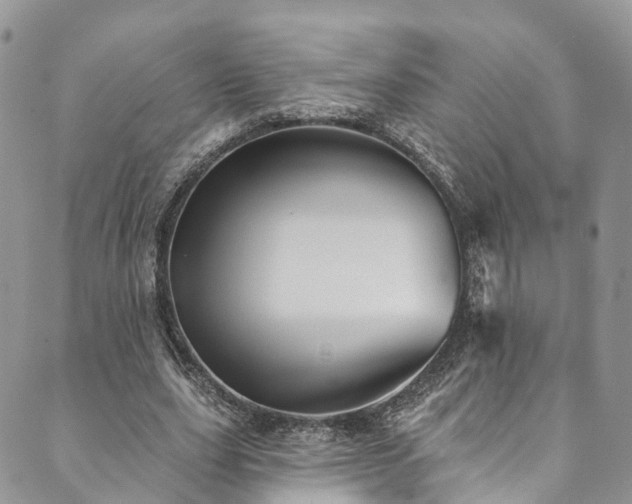 X0000090460631200707131254