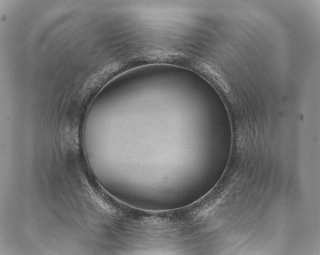 X0000090460633200707131254